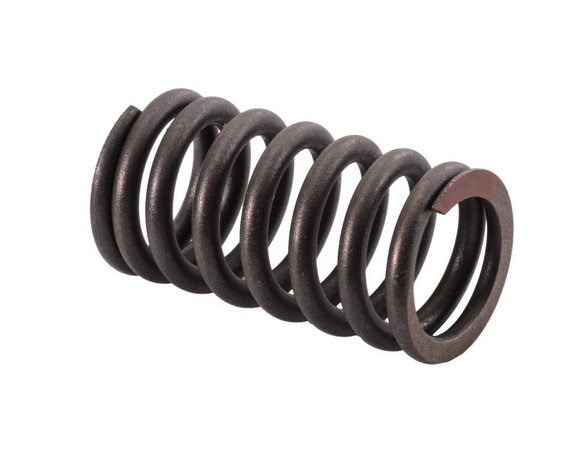 SBT Honda F-12X & R-12X Ventilfjäder 02-08